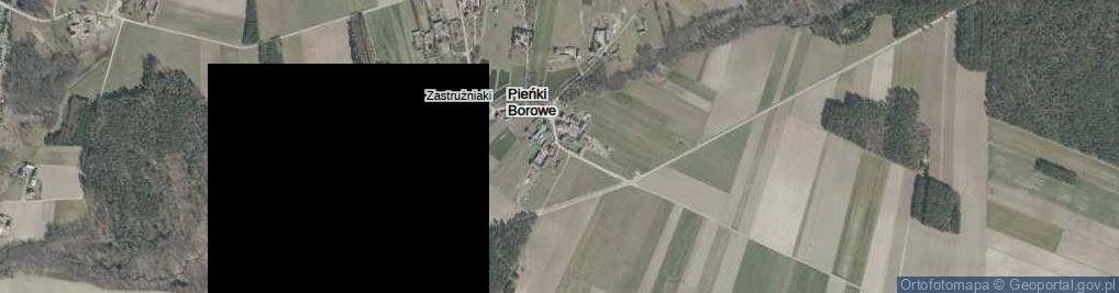 Zdjęcie satelitarne Pieńki Borowe ul.